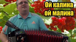 Ой калина, ой малина Демо-разбор