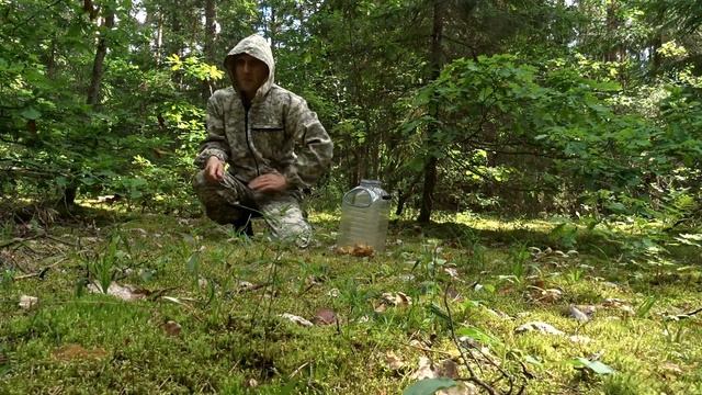 За лисичками по дальним местам Мещёра 2021 смотреть онлайн