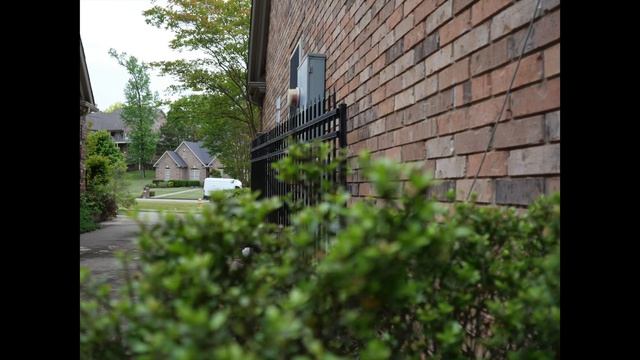 Is the Panasonic Lumix G100 good for Photography? смотреть онлайн