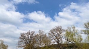 тренировка своих спортивных голубей на 70 км