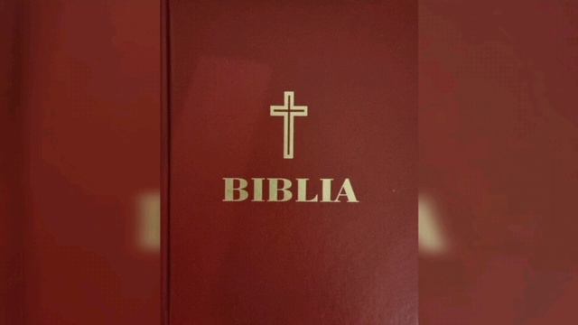 BIBLIA AZI. Matei 20, 29-34 1 Corinteni 1, 26-31 Psalmii 101 si 102 смотреть онлайн