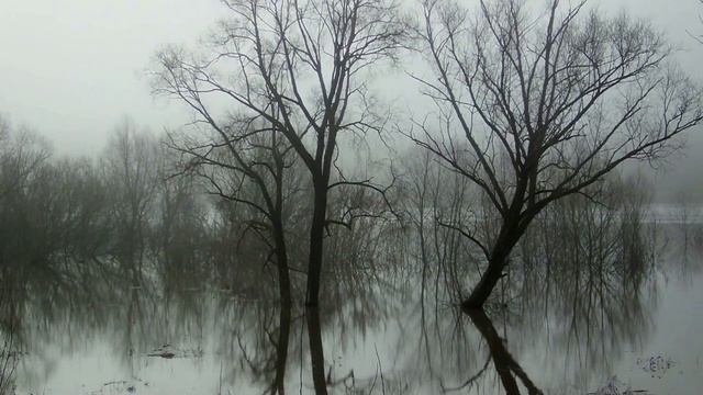 ТУМАН НА ОКЕ смотреть онлайн