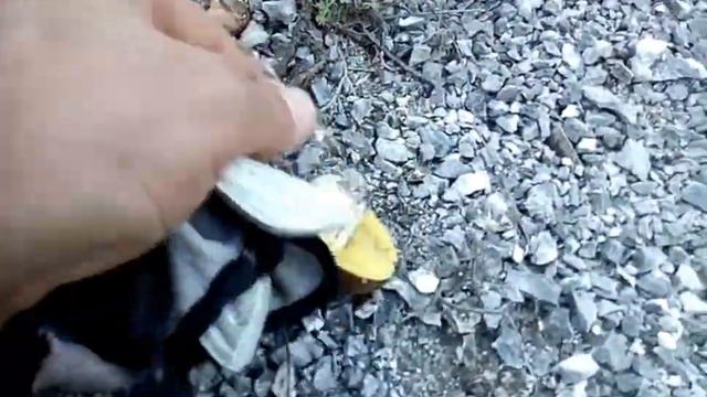 Маслята крізь крейду смотреть онлайн