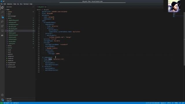 Using AllowedSchemas Field of KubeDB to Allow Certain Schema manager смотреть онлайн