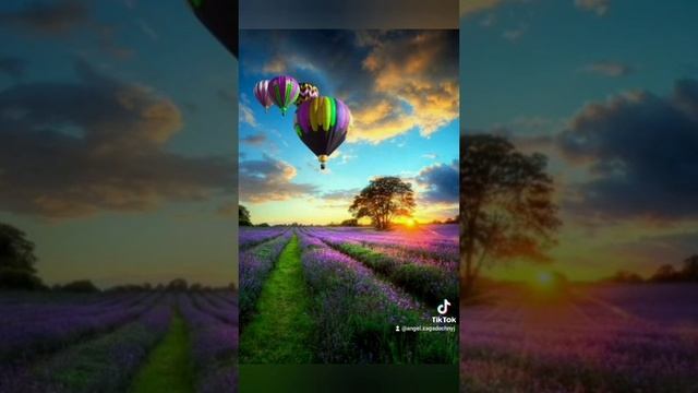 милое видео.mp4