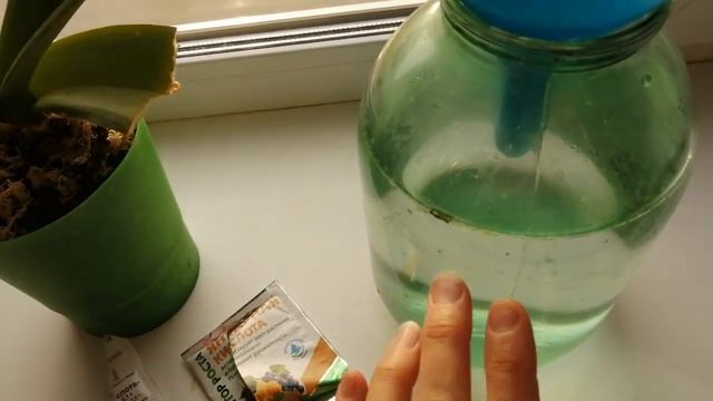Бешеный стимулятор для роста и цветения! - лучший раствор для активации роста новых побегов смотреть онлайн