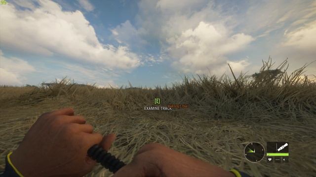 Lion Hunting Gone Wrong! (The Hunter: Call of the Wild Twitch Stream) смотреть онлайн