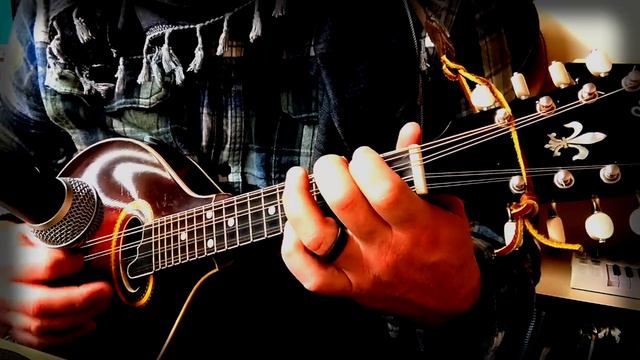 The Fiddle on the Hearth | solo mandolin | 1917 Gibson A-4 смотреть онлайн