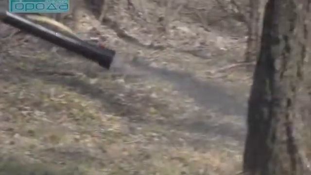 Городские леса, парки, скверы и бульвары Нижнего Новгорода начали обрабатывать от клещей смотреть онлайн