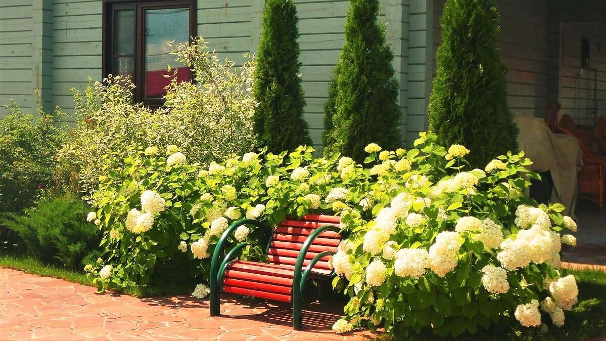 ?Лучшие идеи для Дизайна и Украшения садового участка / Best Garden Design Ideas / A - Video