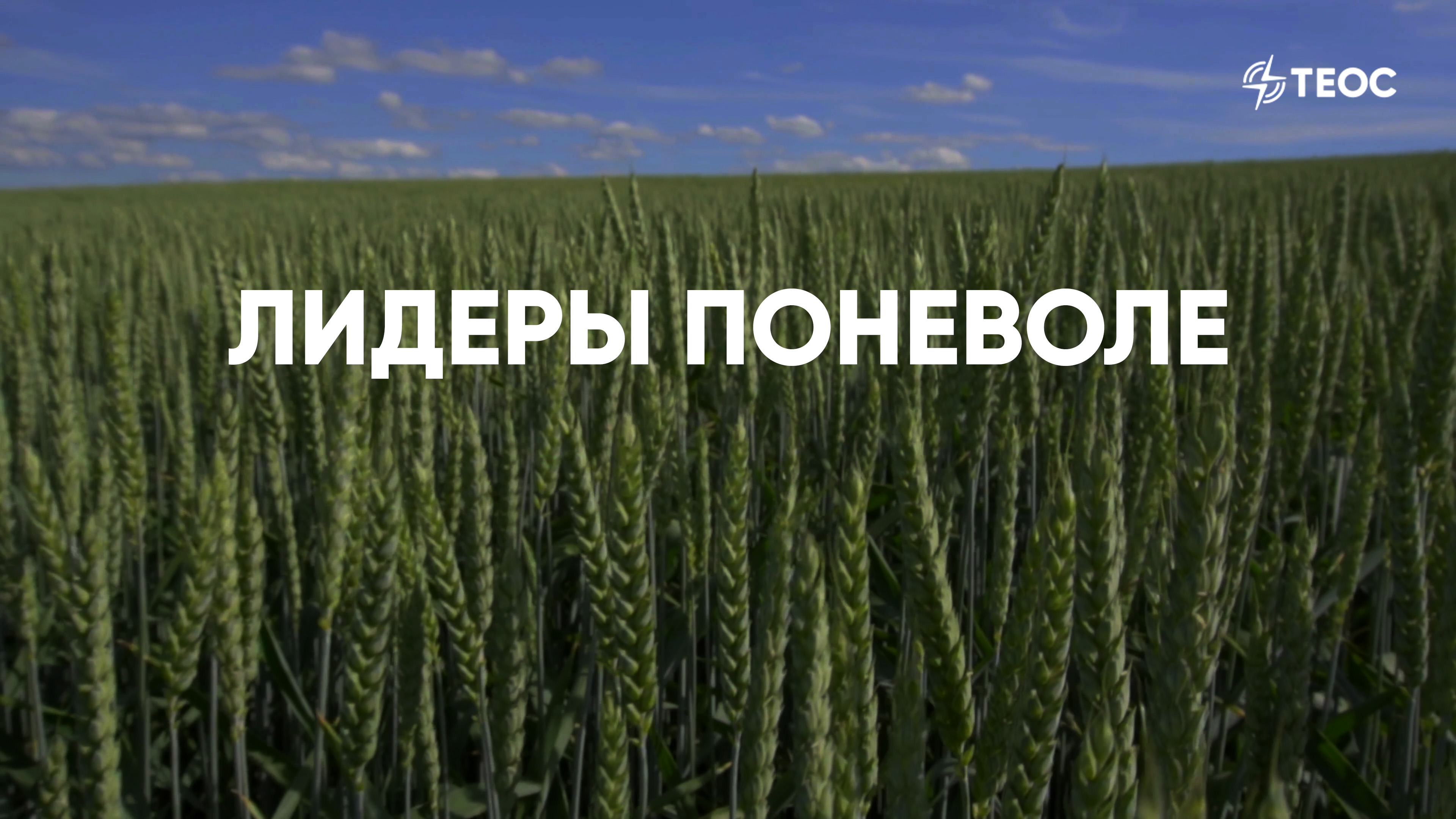Лидеры поневоле смотреть онлайн