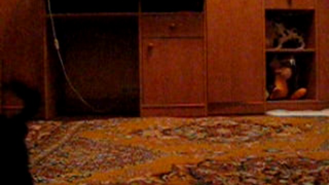 Дюш смотреть онлайн