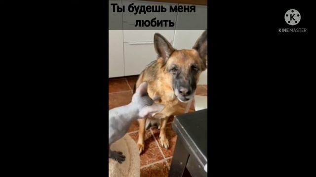 Ты будешь меня любить??? смотреть онлайн