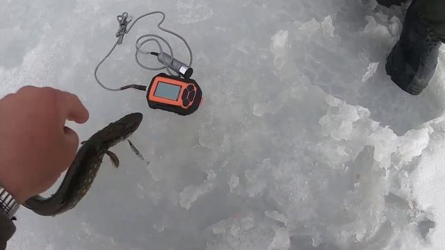 Балуемся с очередным эхолотом Практик смотреть онлайн