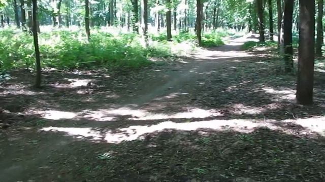 поиск с металлоискателем в городе, серия 8. Колечко, ключи, анонс следующей серии. смотреть онлайн