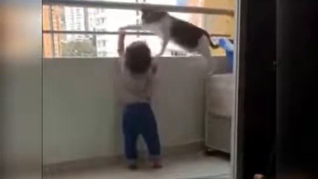 Кошка не дает ребенку подняться на перил#kidsvideo#catsave#baby смотреть онлайн