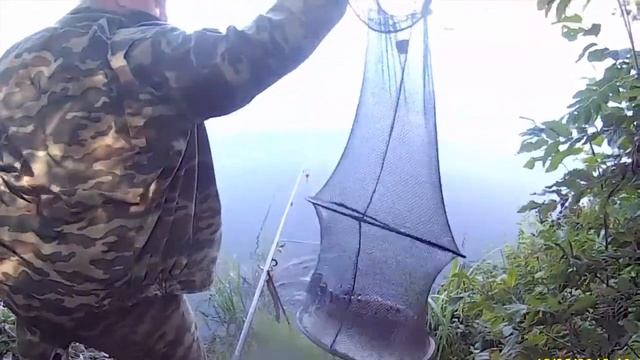 Крупный линь в августе смотреть онлайн