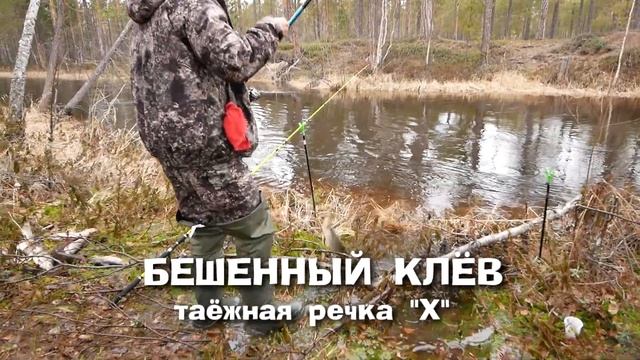 Язь идет на нерест. 1 мая 2021 года. смотреть онлайн