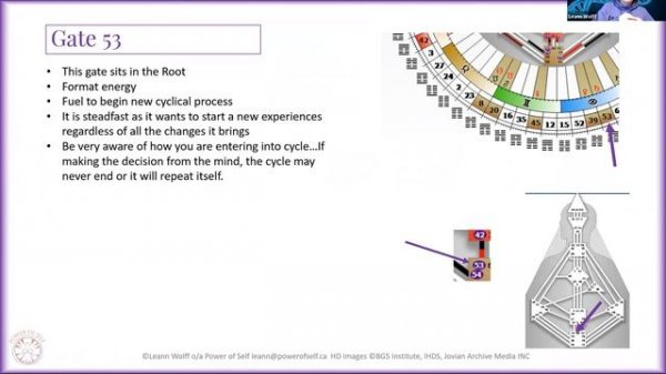 Human Design - Gate 53