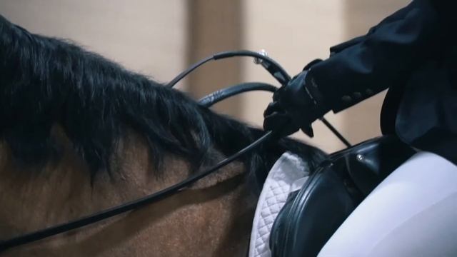 Конный спорт в Алматы / Реклама смотреть онлайн