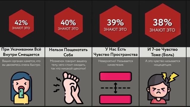 Секреты Нашего Тела смотреть онлайн