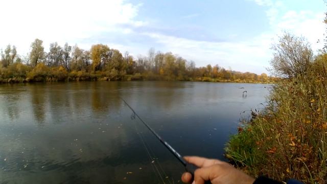 Осенний ДЖИГ. На озере не клюёт, а на реке КЛЯЗЬМА щука жирует. смотреть онлайн