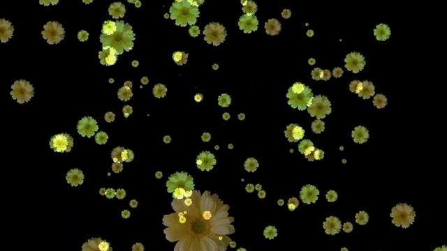 Жёлтые ромашки koreckolga смотреть онлайн