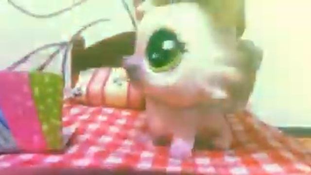 Лпс клип для моей траюродной старшей сестры смотреть онлайн