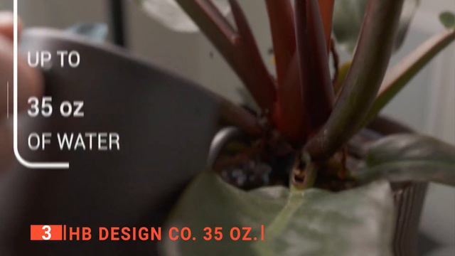 TOP 5 Best Watering Can: Today’s Top Picks смотреть онлайн