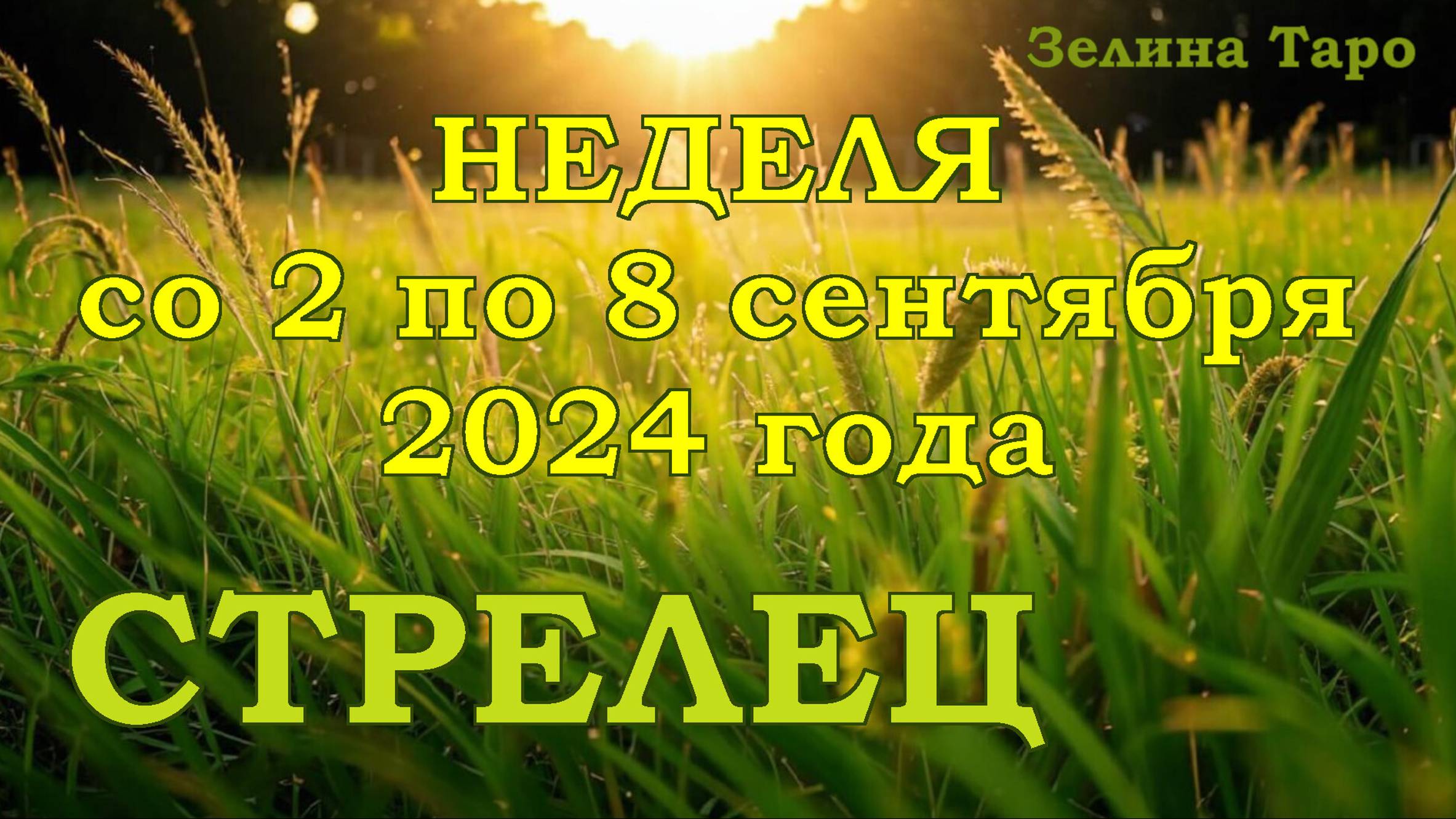 СТРЕЛЕЦ | ТАРО прогноз на неделю со 2 по 8 сентября 2024 года