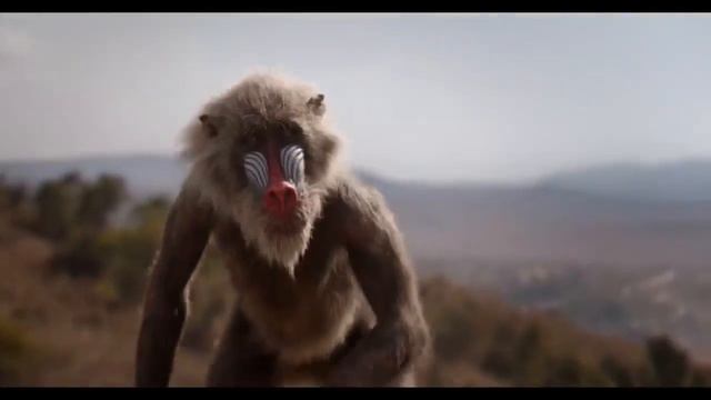 Король Лев мультик 2019 года смотреть онлайн