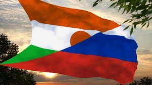 В поддержку Нигерской Революции In support of the Nigerien Revolution