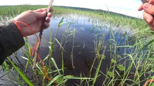 Донная коса. Без сварки и очень быстро.