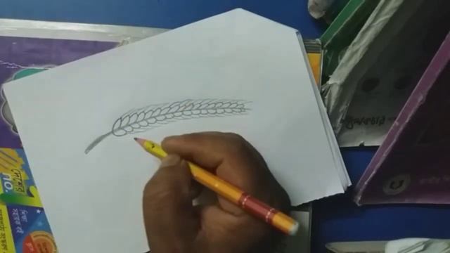 Draw Wheat. How to draw wheat tree. смотреть онлайн