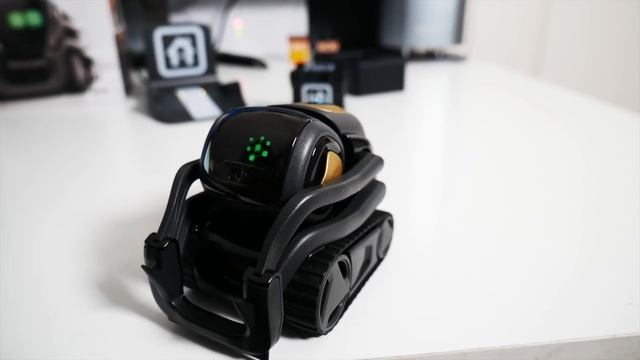 Vector By Anki - Snapdragon AI Robot- Step Forward For RobotKind