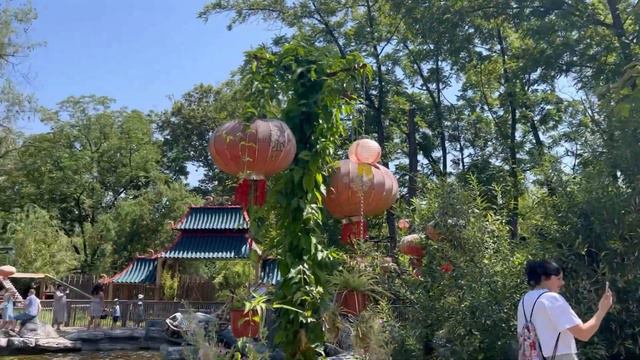 Собачья любовь