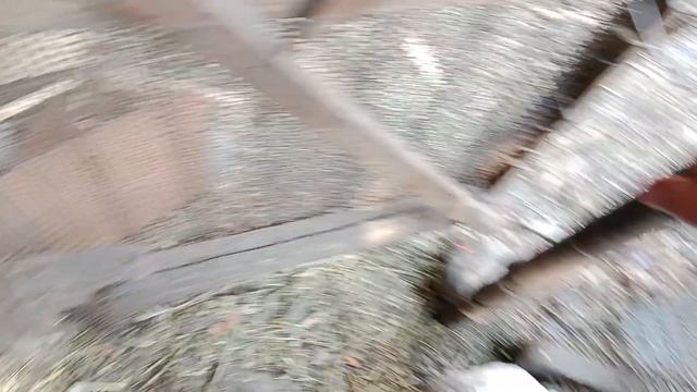 утка упала на ноги / решение ! лекарство для уток . смотреть онлайн