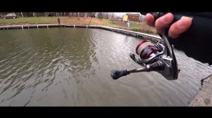 Форель в конце октября | Рыбалка на платном пруду | СЛОМАЛ спиннинг пополам..