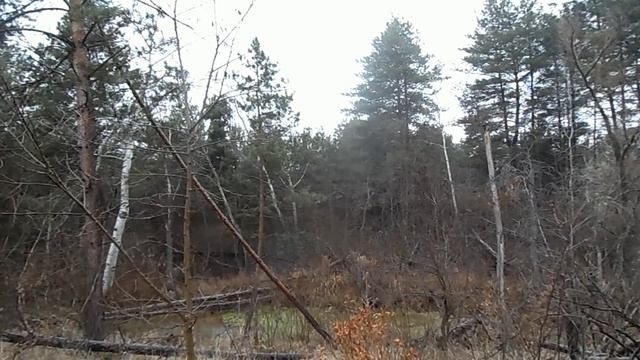 26 декабря - Евстратиев день. Опасный день . Запреты этого дня и народные приметы смотреть онлайн