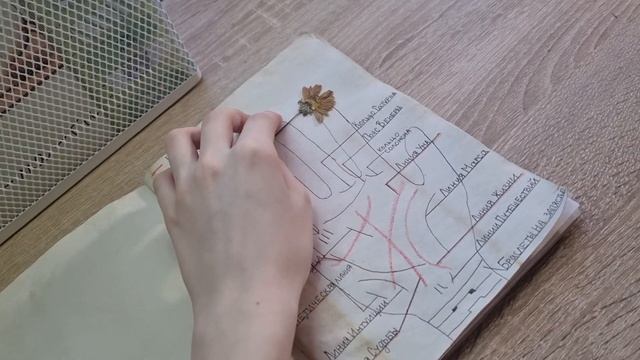 Оформление травника//Что писать в травнике? +relax music// смотреть онлайн