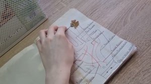 Оформление травника//Что писать в травнике? +relax music//