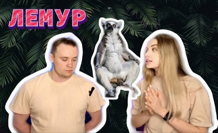 Животный мир. Лемур. смотреть онлайн