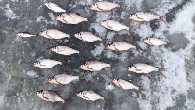 Первый лёд. Чем бы дитя ни тешилось лишь бы не плакало. смотреть онлайн