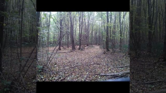 #1 Фото находки - маркеры . Беларусь 2020. Йети / Снежный человек / Леший / Bigfoot смотреть онлайн