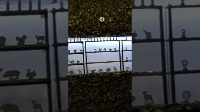Эксперт стреляет из АК смотреть онлайн