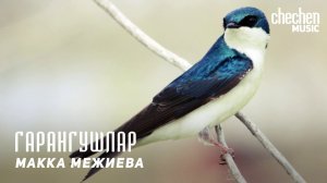 Макка Межиева - Гарангушлар | KAVKAZ MUSIC CHECHNYA