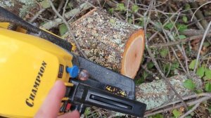 Бензопила Champion 241 - бюджетная с характером