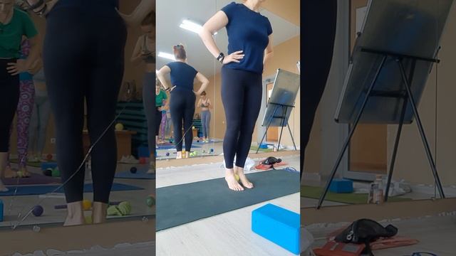 Мастер-класс. МФР: работа со стопой. Эксперт: Анна Сандул смотреть онлайн