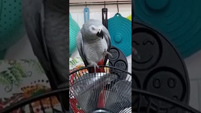 Хочет папу разбудить... смотреть онлайн