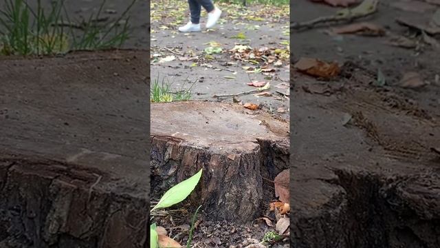 Как вы выходные проводите? смотреть онлайн